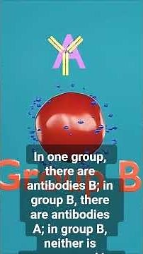 “Blood Groups & Rh Factor – Explained in 3D” #shorts