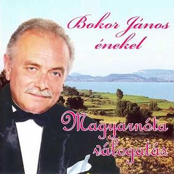 Bokor János - Messze van a kicsi falum
