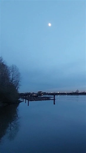 Moon Over Fraser River #2 🌙 | Peaceful Evening at Burnaby Fraser Foreshore Park