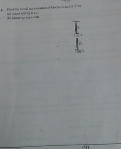 Find the initial acceleration of blocks A (mass m) and B (mass ... | Filo