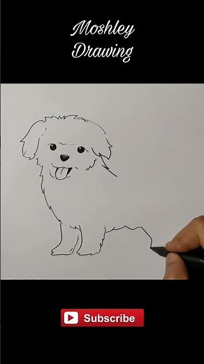 Drawing Maltipoo Dog #shorts