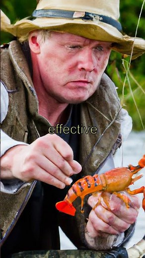 "Master Freshwater Fishing: Tips, Tricks & Equipment from an Expert Angler #FishingTutorial"