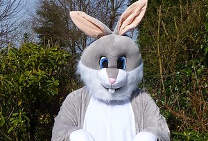 A Man In An Easter Bunny Suit Beat The Crap Out Of A Guy While Breaking Up A Fight In The Wildest Video You'll See Today