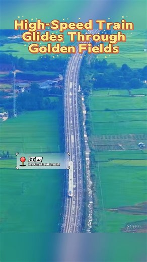 6.4K views · 27 reactions | High-Speed Train Glides Through Golden Fields in Xiajiang, Jiangxi  The high-speed train glides through golden fields like a silver shuttle weaving across the landscape. ✨Between motion and stillness, it perfectly showcases the autumn charm of Jiangxi's countryside.  #Jiangxi #WonderfulJiangxi #CountrysideViews #ChinaHighSpeedRail #TravelChina | Meet Jiangxi | Facebook