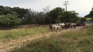 24K views · 172 reactions | Un día En la #casadelgyr Nota: Algunos...