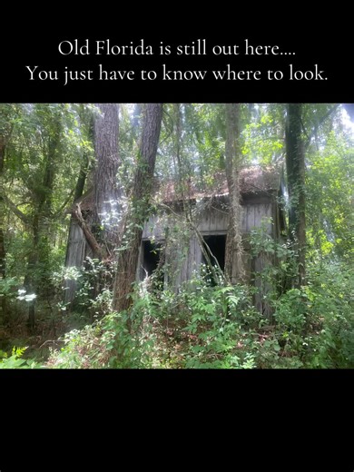 Explore the Hidden Stories of Rural Florida