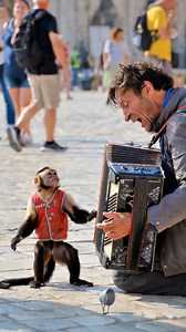 5.2K views · 33 reactions | Abused Monkey Finally Set Free After Years of Suffering This video was produced by Network Media and Blue-X Studio | Prompted Daily | Facebook