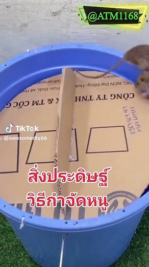 ถังดักหนู DIY สำหรับการประดิษฐ์ง่ายๆ