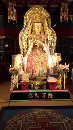 Miyajima tour #miyajima #japan