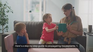 Propagating Houseplants Step by Step Guide