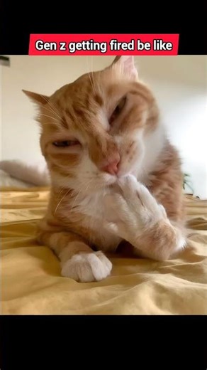 Gen Z Getting Fired Be Like #shorts #skit ‪@JosiahSchneider‬