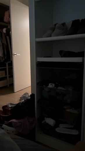 Shiba Inu Screams for Justice! What Does Kylo Want?