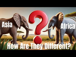 The Mystery of Elephants: African vs Asian Explained!