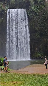 8893. Sit stay between seated handler's legs distractions wildlife people waterfall 29 March 2026 AK