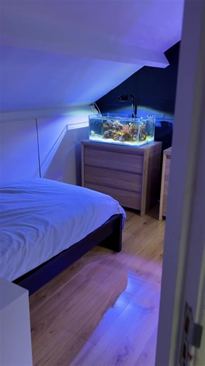 Explore Danny's Amazing Aquarium Bedroom | Fish Tank and Reef Tank Room Tour
