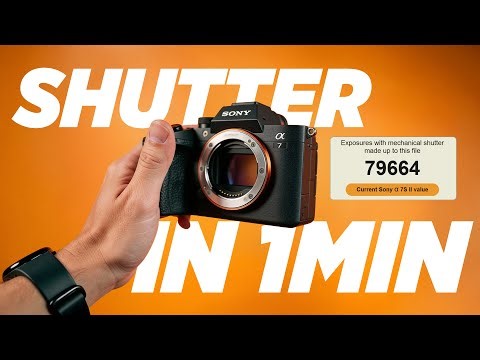 Check Your Sony Shutter Count in 60 Seconds!