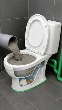 Pour cement into toilet and Every Household Needs!
