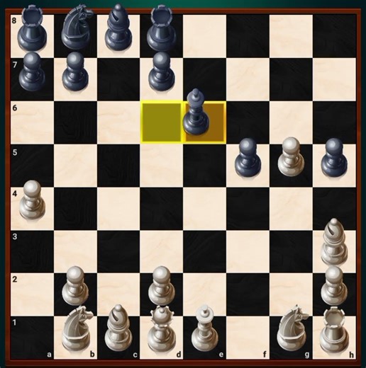 human vs computer White is human and black is computer ♟️