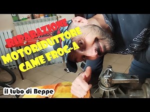 Riparazione motoriduttore cancello automatico Came Frog A