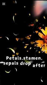 Fertilization in Plants Explained | How Flowers Reproduce #ScienceShorts"@Learninglounge209