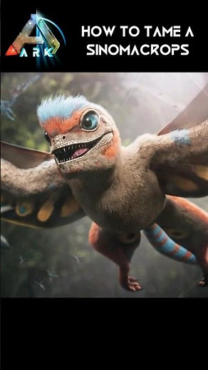 How to Tame a Sinomacrops