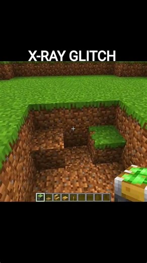 Minecraft X-Ray Glitch#minecraft