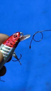 142K views · 672 reactions | How to Tie a Non-Slip Knot for Tying Fishing Lures #fishing #fishingtips #fishingknot #tutorials #fishingvideos #mancing #reels #fyp #viral #trending #foryou | Agus Subarna | Facebook