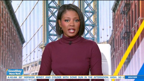 American Corporate Partners: The program that helps mentor veterans