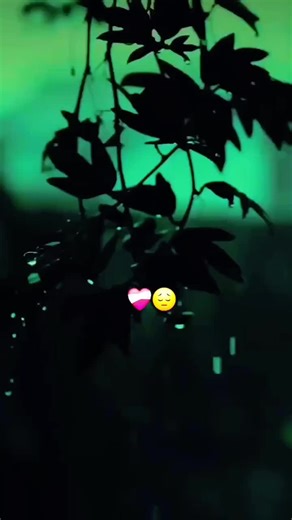 cañetes on TikTok