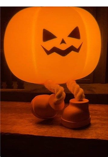 fetchfindz on TikTok