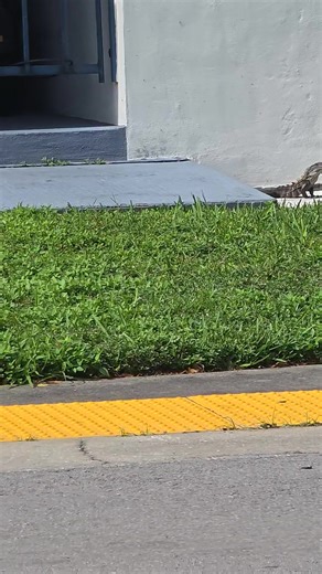 20 reactions · 5 comments | Just Chillin' | Tacey Gauthier | Facebook