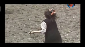 🤣🤣🤣 | Humor