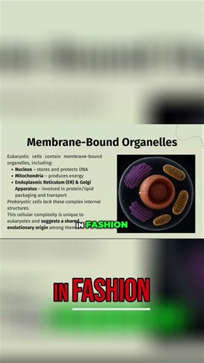 Cellular Biology: Unique Patterns in Eukaryotic Cells