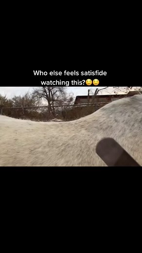 Horse hack! Rasps make the best shedding blades! #hack #horsehack #fyp #sheddingseason #horsesoftiktok