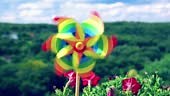 Pinwheel of rainbow colors among the balcony petunia flowers against...