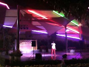 Michael Jackson- Butterflies LIVE! in Long Beach