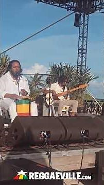 STEPHEN MARLEY - DON'T LET ME DOWN @ Closer To The Sun 2026 ☀️