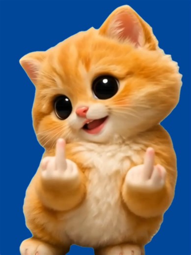 This CapCut template features a cute kitten dancing to TikTok Dancers Si Te Sabes El TikTok Baila Octubre while cheekily giving the middle finger. The contrast between the adorable kitten and the savage gesture makes the moment instantly hilarious, especially as the dance hits right on the beat. Use this CapCut template as a green screen dance reaction over clips where someone deserves a sarcastic response, when drama happens, or when a situation calls for a funny but savage reaction. It works p