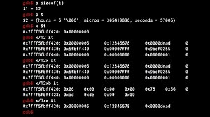 [GDB]Debugging C programs