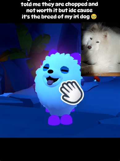 MEGA SAMOYED IS SO CUTE I LOVE YOU ADOPT ME #adoptmesamoyed #adoptmechristmasupdate #adoptme #adoptmetradinghub #robloxadoptme