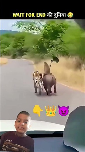 janvaron ke ajab gaja gamini hai hai kya kar rahe hai na Pradhan mantri