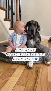 10M views · 273K reactions | I’m not huge into PDA but this was definitely the cutest kiss I’ve ever seen  﫶#dogandbaby #babyanddog #dogsandkids #kidswithdogs #kidsanddogs #babysbestfriend #toddlermom #toddlerlife #toddlerfashion #gentlegiant #doglover #dog #happydog #familydog #sahm #sahmlife #boymom #firstkiss | the_oakie_dokie | Facebook