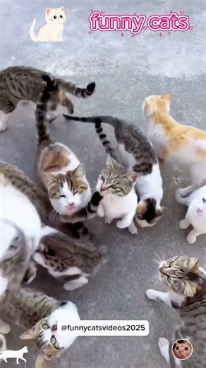 Phillies land All-Star closer Jhoan Duran ahead of MLB trade deadline 👀🔥 #JhoanDuran