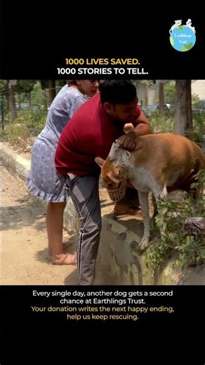How We Saved 1,000+ Stray Dogs | Earthlings Trust Rescue Journey