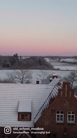 I Crashed and Climbed Into a Tree for This Video