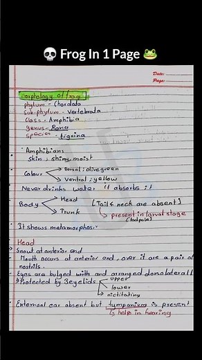 Frogs | Morphology Anatomy: Structure, Diagram & Easy | Biology Class 11| NEET PDF #neetpreparation