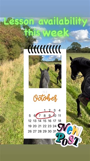 📣📣 Lesson availability this week 📣📣 🔵. Tuesday 7th October 6pm 60 minute walk, trot learning to canter group lesson 🔵. Wednesday 8th October 3pm/4pm 30 minute private or semi private . Ideal for beginners to advanced riders. Time spent hacking or really focusing on particular disciplines like jumping or dressage. 6pm 60minute walk, trot learning to canter group lesson 7pm 60 minute ADULT walk, trot canter group lesson 🔵. Thursday 9th October 2:00/2:30/3:00/3:30/4:00 30/60 minute private o