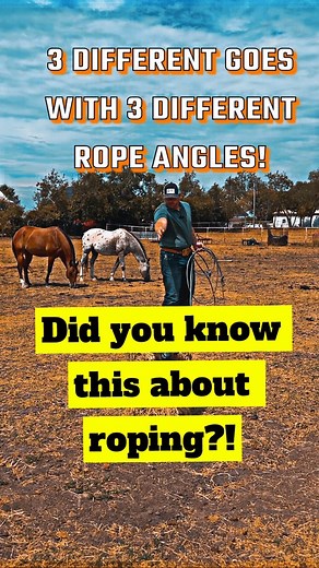 Did you know this about roping?!😱 #rodeo #calfroping #lessons #tiedownroping #teaching #coaching #horses #horsetraining #horsetrainer #horsemanship #roper #rodeogym #onlinecoaching | Rodeo Gym