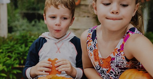 Food Pyramid - Food Dudes
