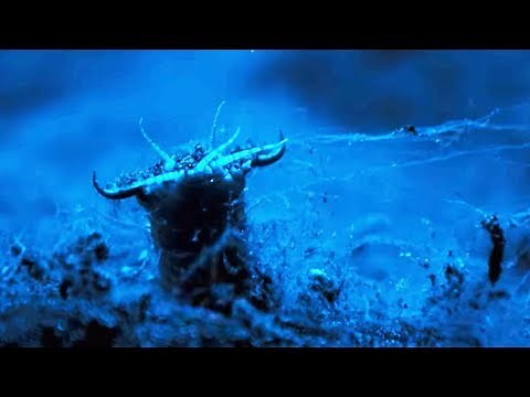Giant carnivore worm: the horror movie - ZAPPING WILD